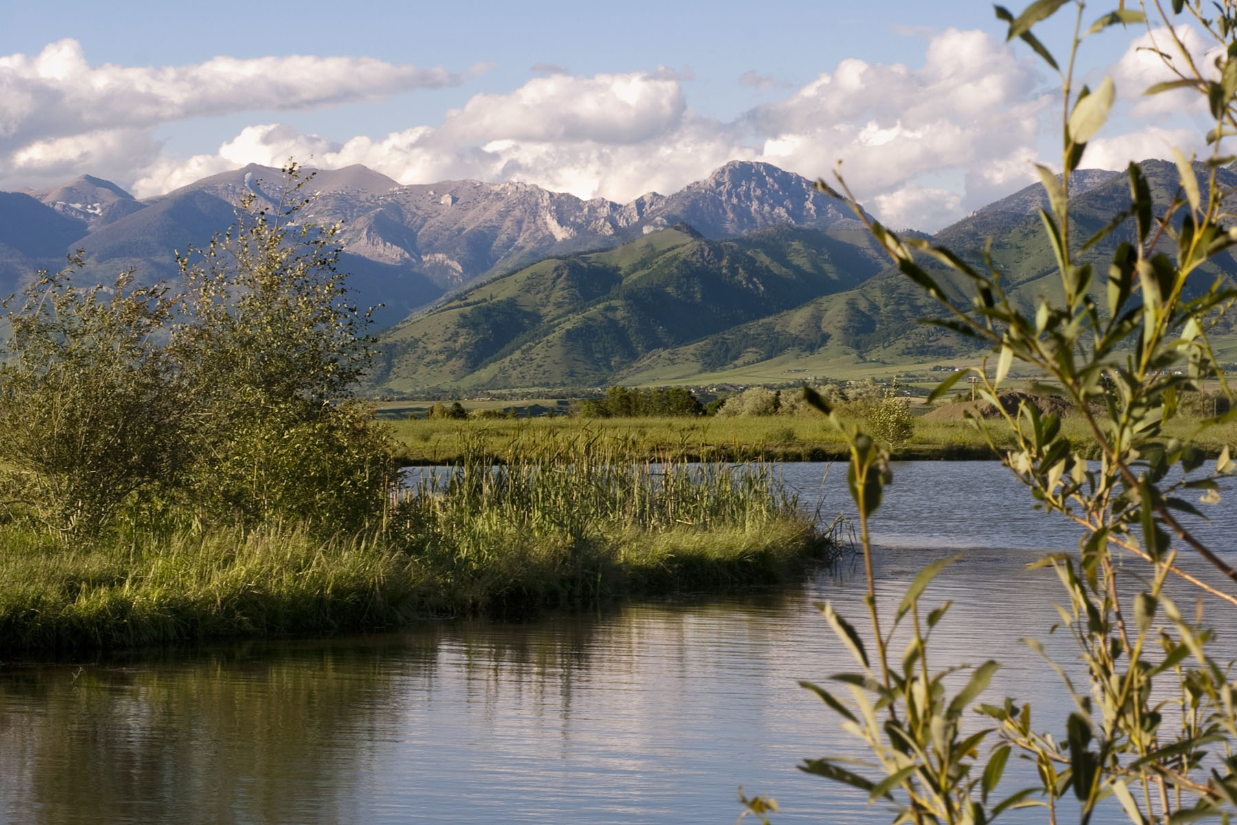 Montana water scene