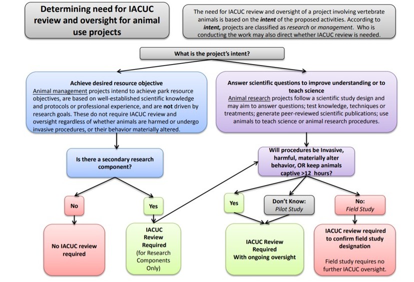 IACUC activity required process