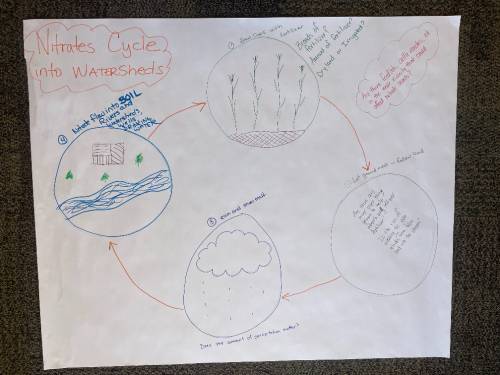 Sketch of the nitrate cycle