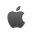 Apple icon