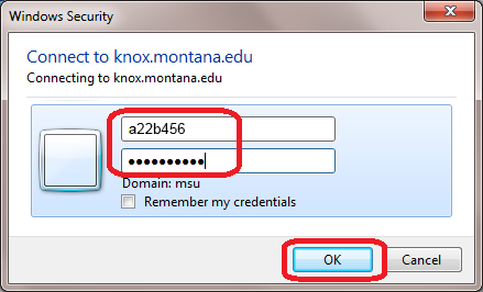 Figure 7. Login window.